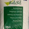 KCL Food Grade - Kali clorua (Potassium chloride)